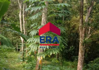 Dijual Tanah Lokasi Di Desa Pulobogo Getasan Semarang