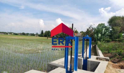 Dijual Tanah Sawah Di Rengasdengklok
